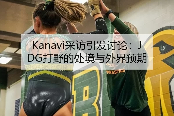 Kanavi采访引发讨论：JDG打野的处境与外界预期
